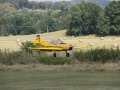 IMG_2980